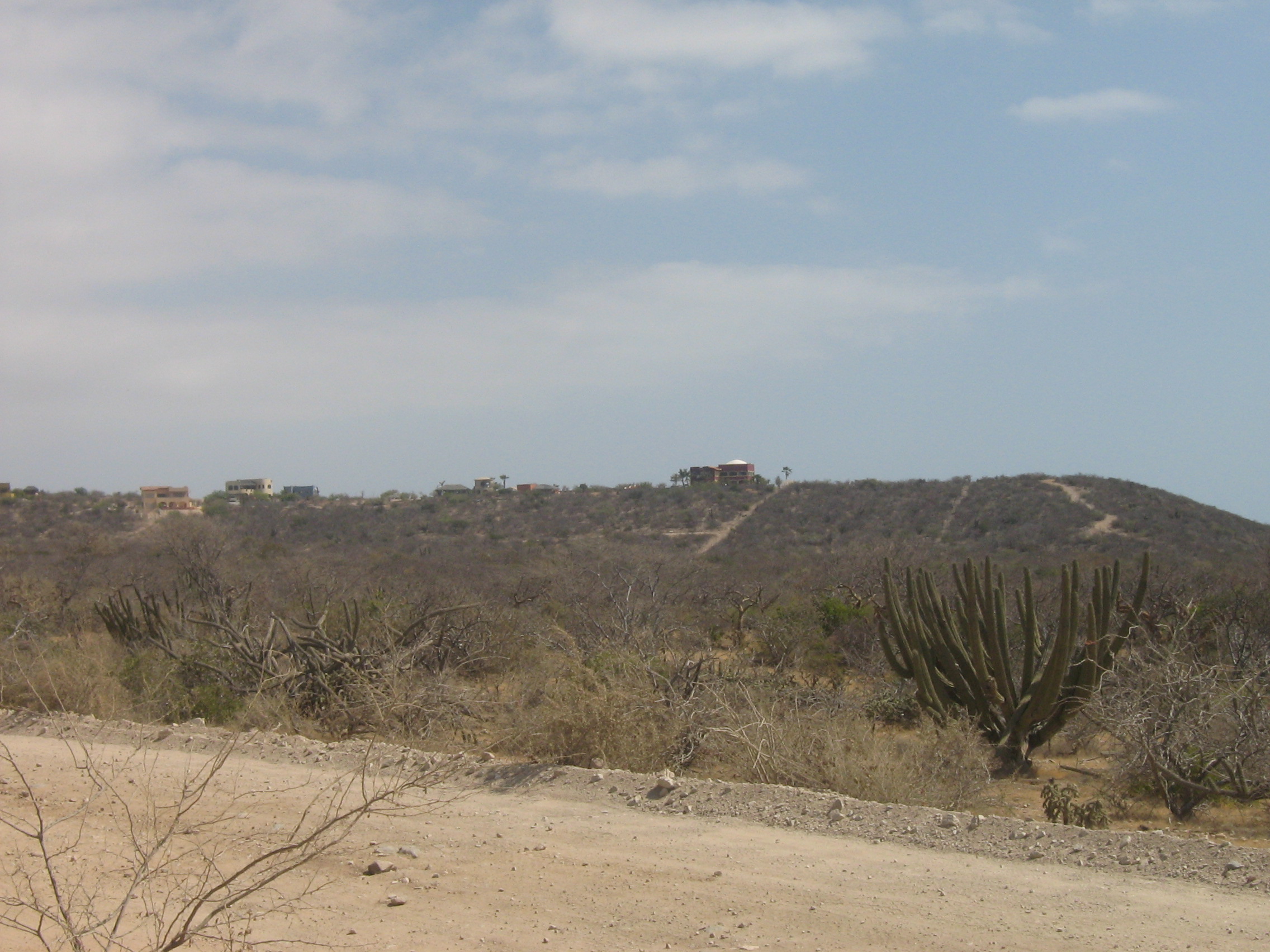 Vista de la fragmentación del paisaje en el área de estudio. Autor: Diego Casas