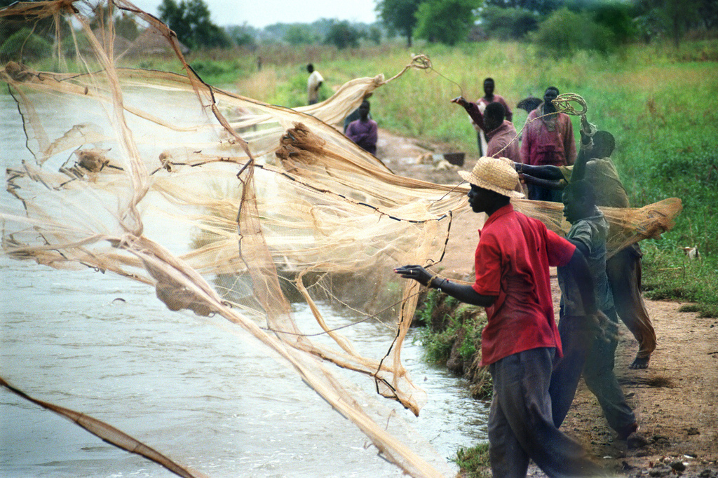 Pesca ilegal y condiciones laborales. El reto global que golpea África