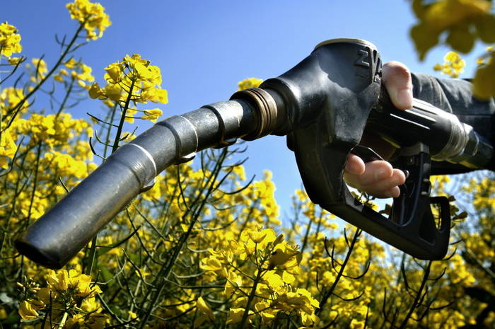 La economía verde: términos y contenidos