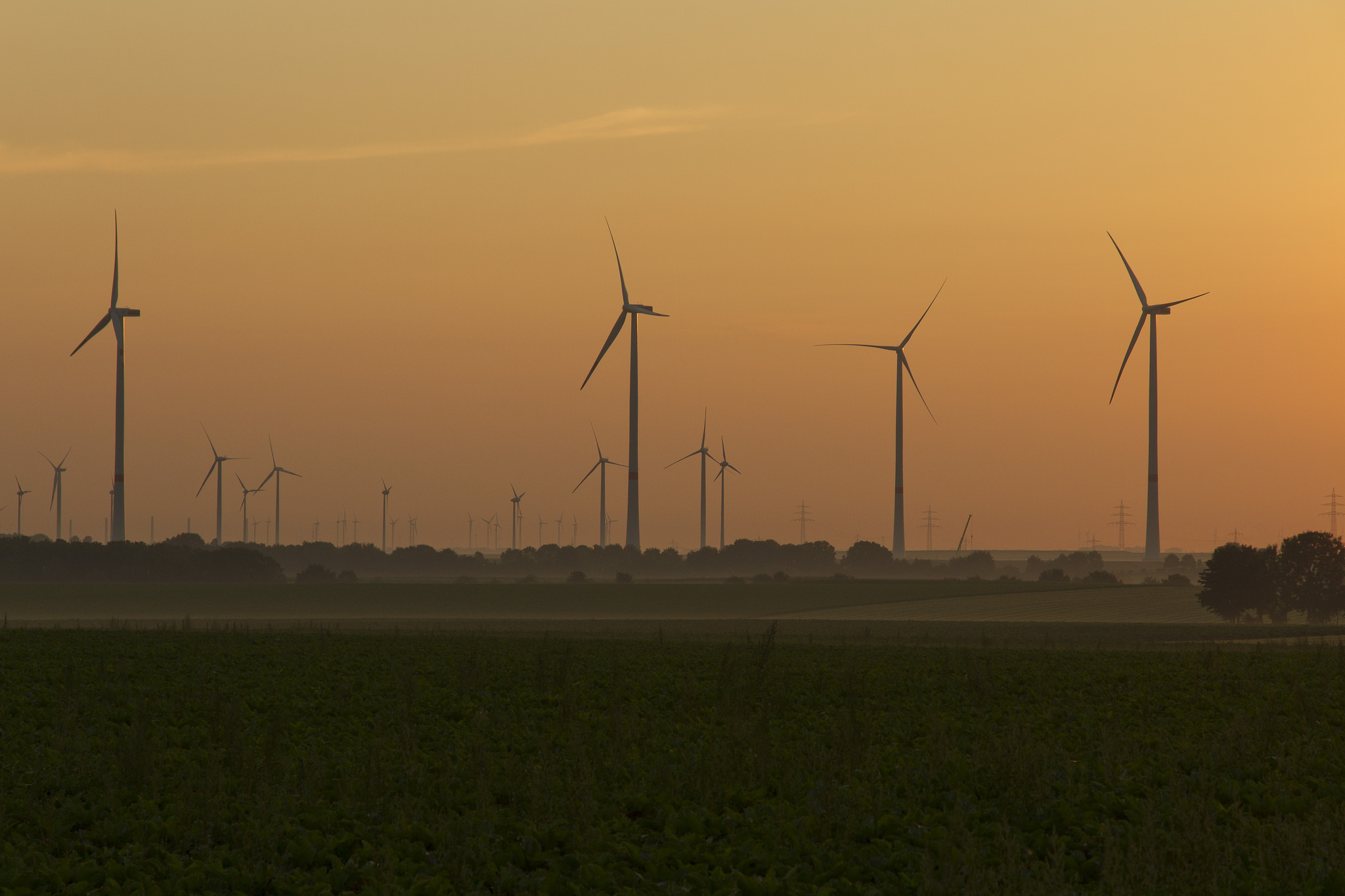 De los negocios del clima a la Economía Verde