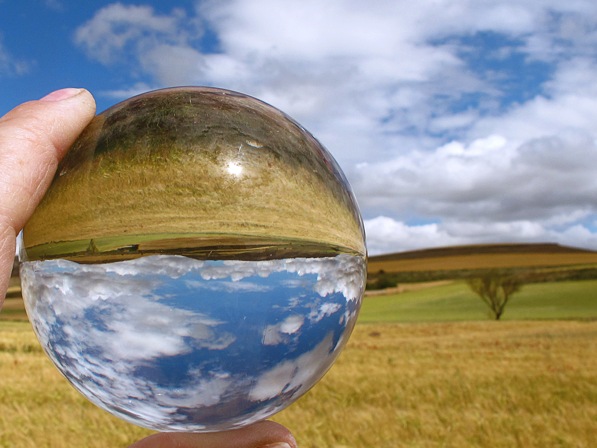 Economía verde o la mistificación del conflicto entre crecimiento y limites ecológicos