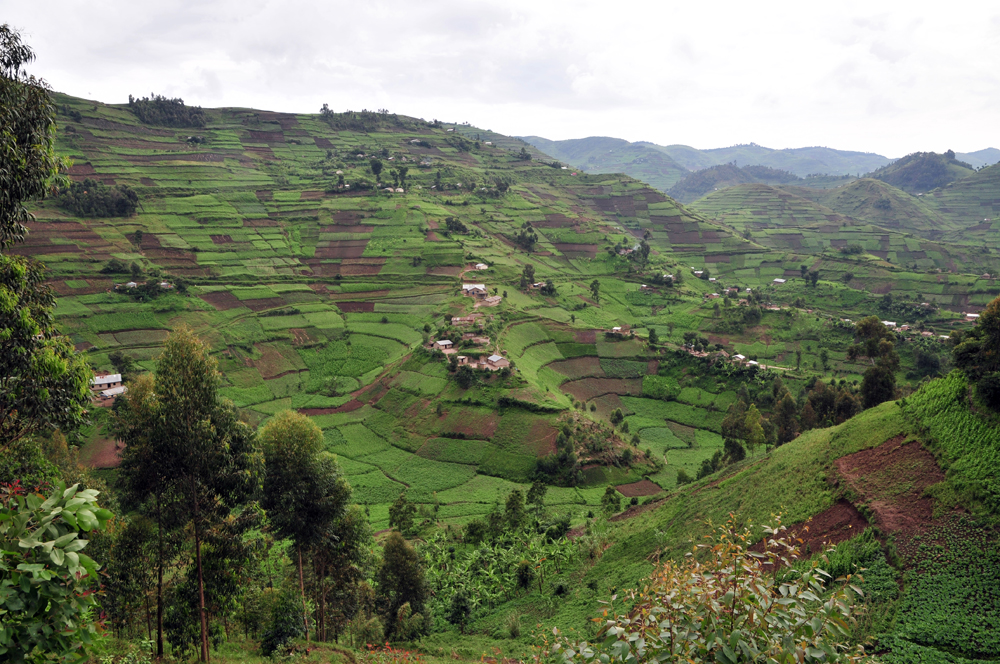 Desplazamientos forzosos en Uganda. La importancia de la acción coordinada