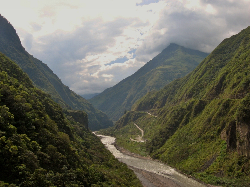 El asesinato de la tía o el dilema de la conservación de la biodiversidad en Ecuador