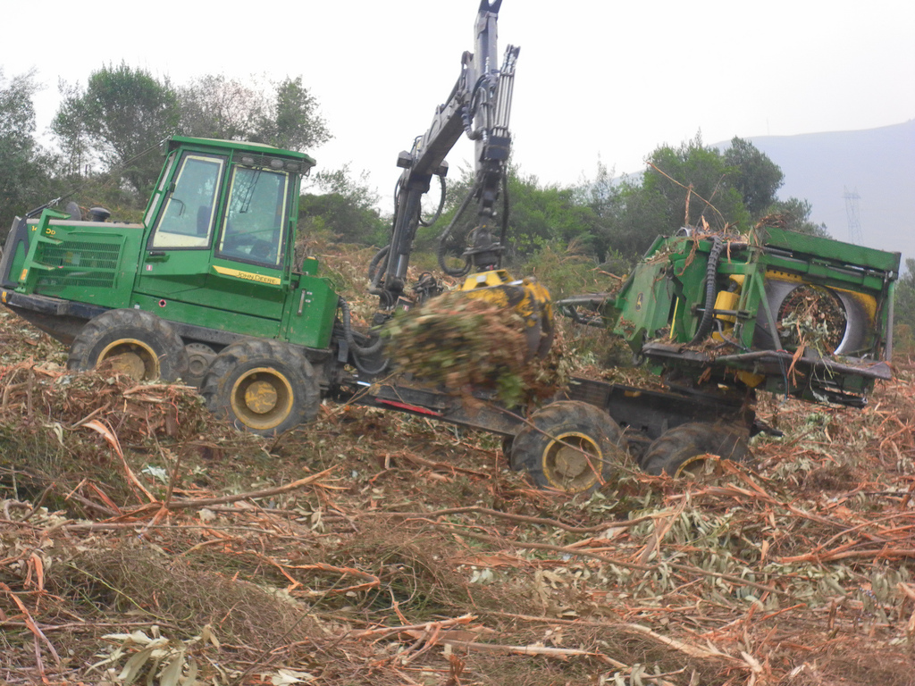 Comercio de biomasa y acaparamiento de tierra: nuevas dimensiones de las relaciones Sur-Sur