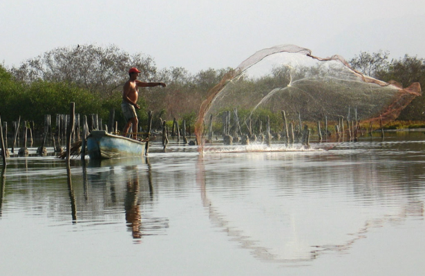 Conflictividad socio-ambiental en el Ecuador: un inventario de conflictos en el periodo 1982-2013