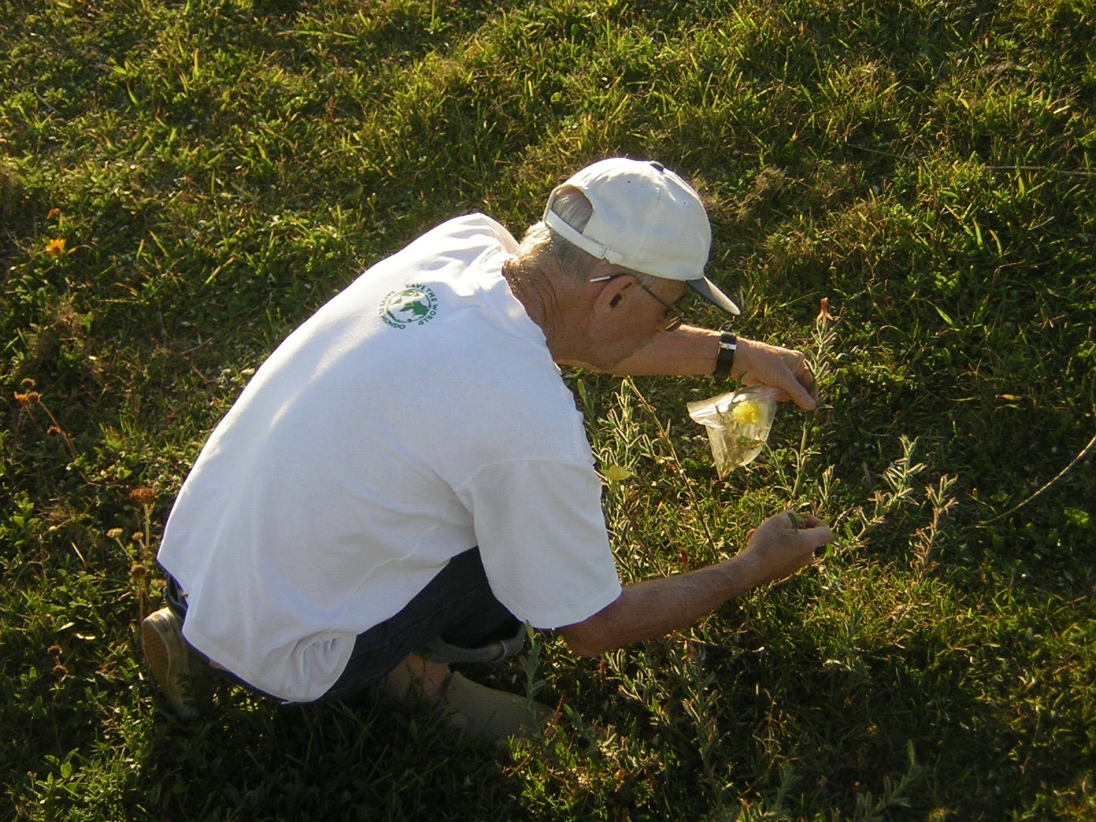 Ricardo Carrere. Las plantaciones no son bosques