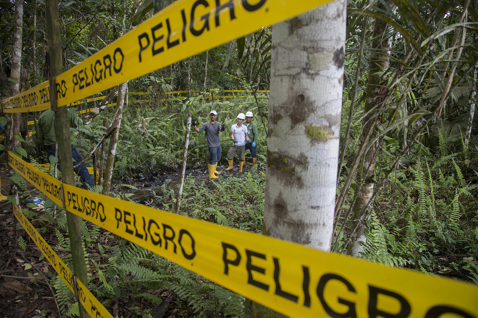 Deuda financiera y deterioro ecológico