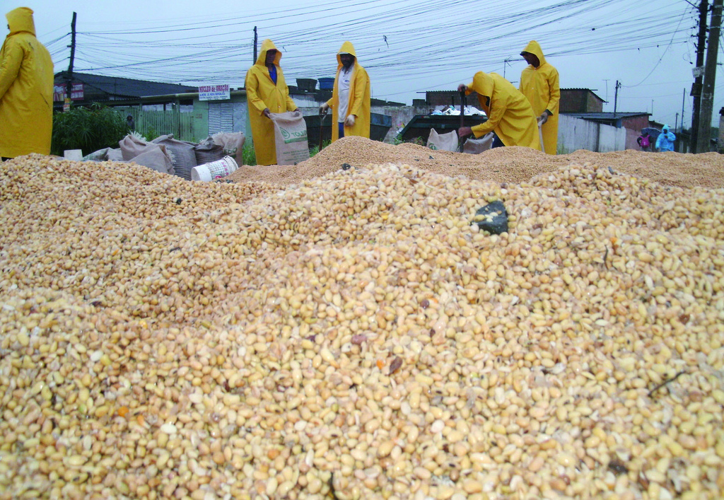 Extractivismo y agricultura industrial o como convertir suelos fértiles en territorios mineros