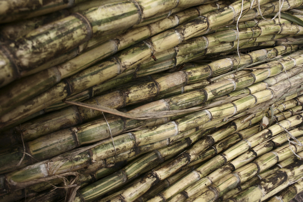 Reconversión cañera y biocombustibles en Veracruz, México ¿Para quién?