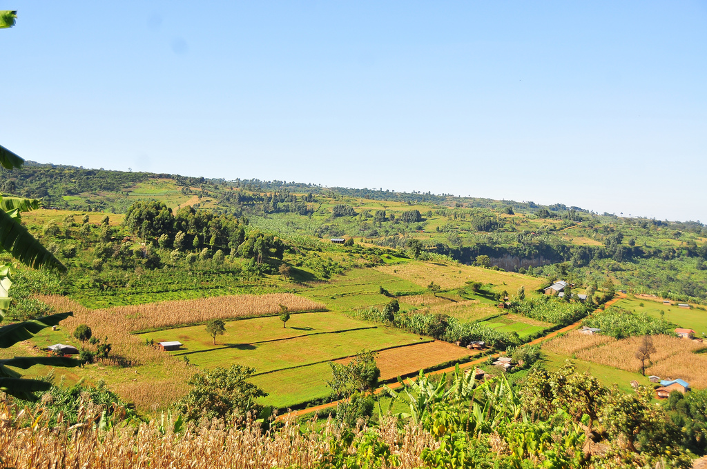 El negocio de las tierras africanas