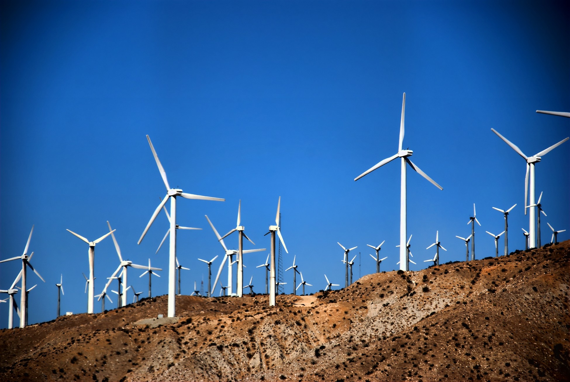 El ecologismo grande y el pequeño discrepan sobre la Ley de Energía de EE UU