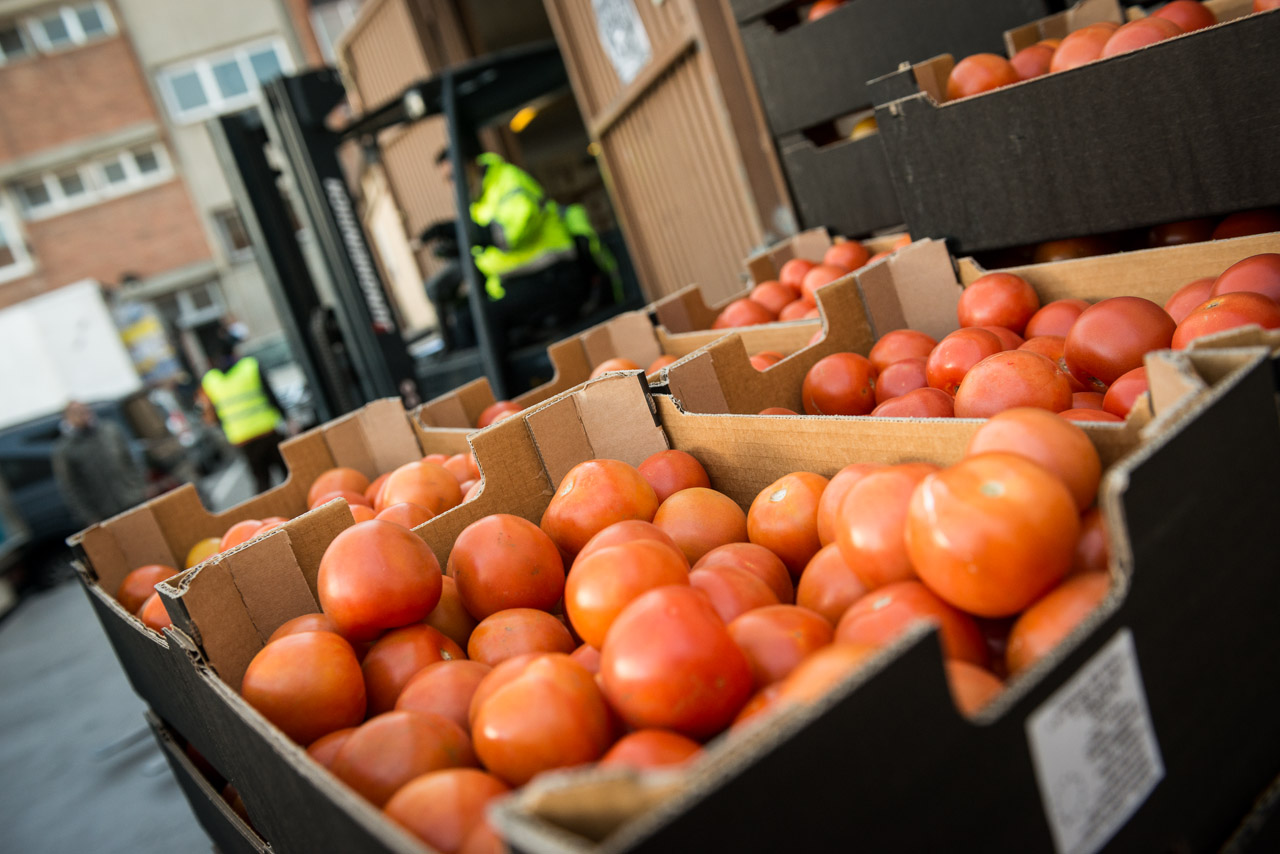 Crisis alimentarias, movimiento alimentario y cambio de régimen