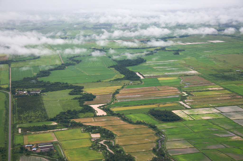 La agricultura del Siglo XXI: El golpe final a los pequeños productores en Bolivia