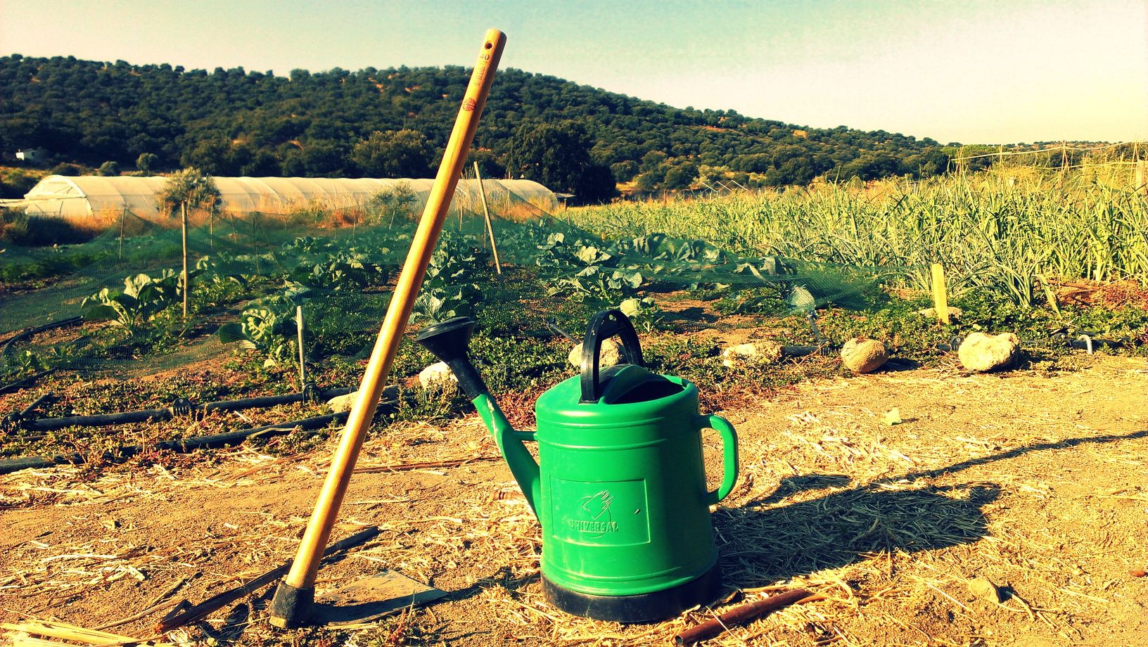 Aportando a la construcción de la Soberanía Alimentaria desde la Agroecología