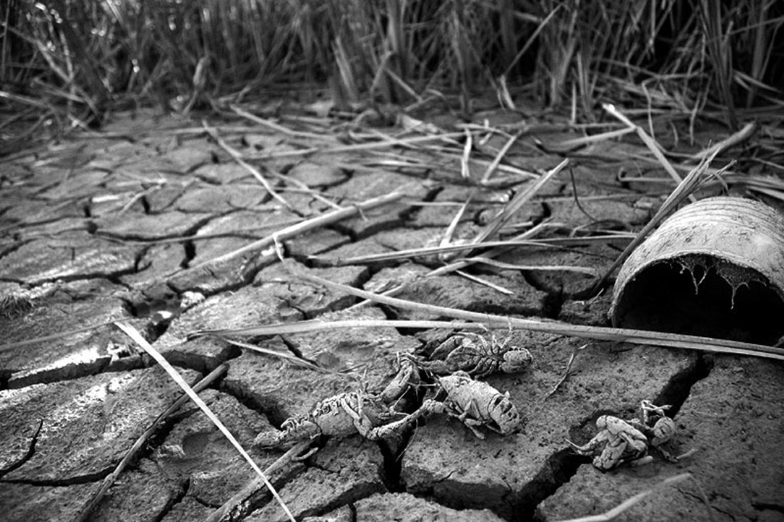 Salud y cambio climático