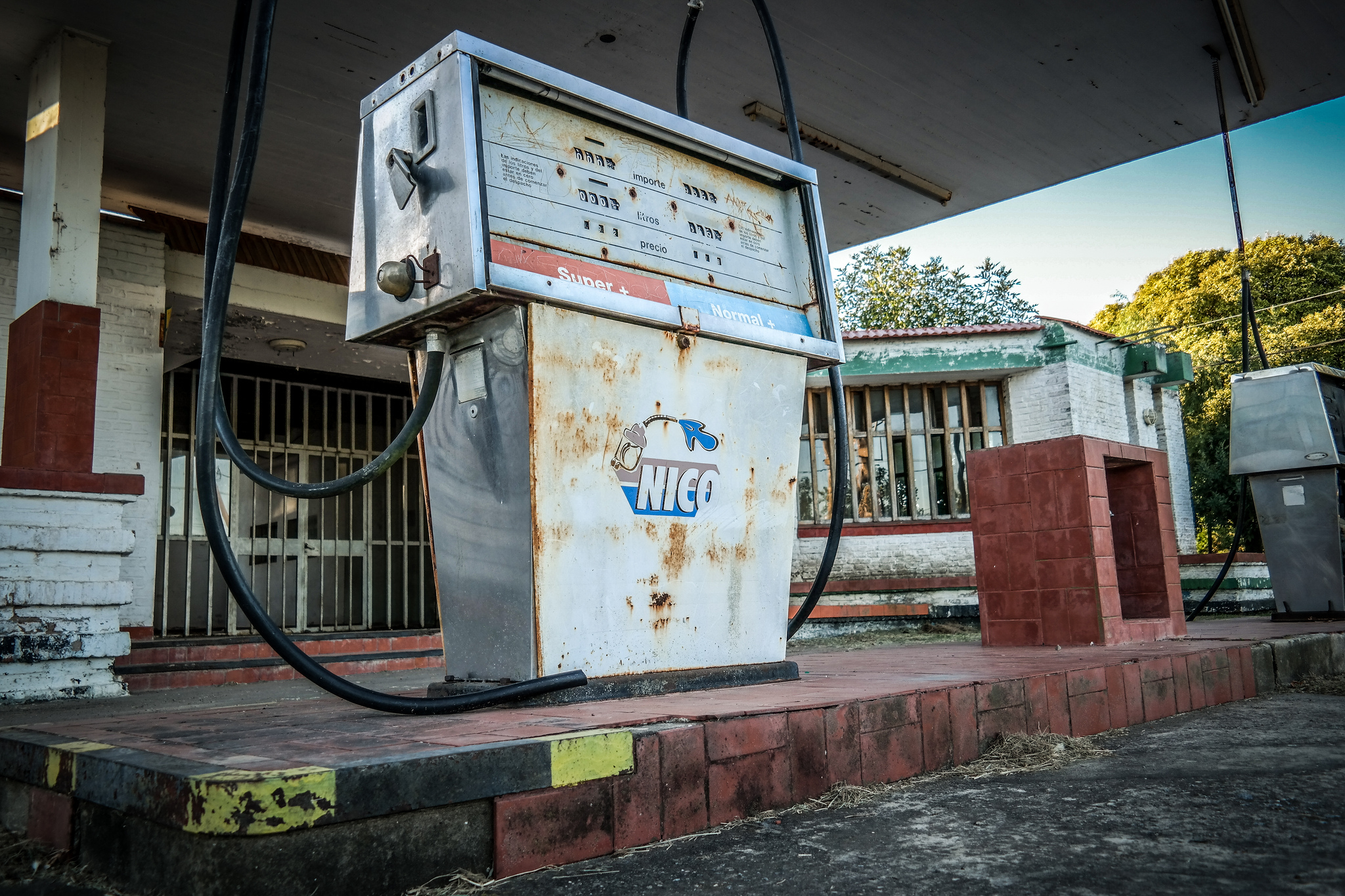 Agrocombustibles en Argentina y Brasil