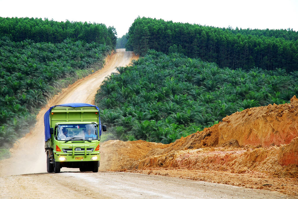 Agroenergía en Asia: el gran suicidio