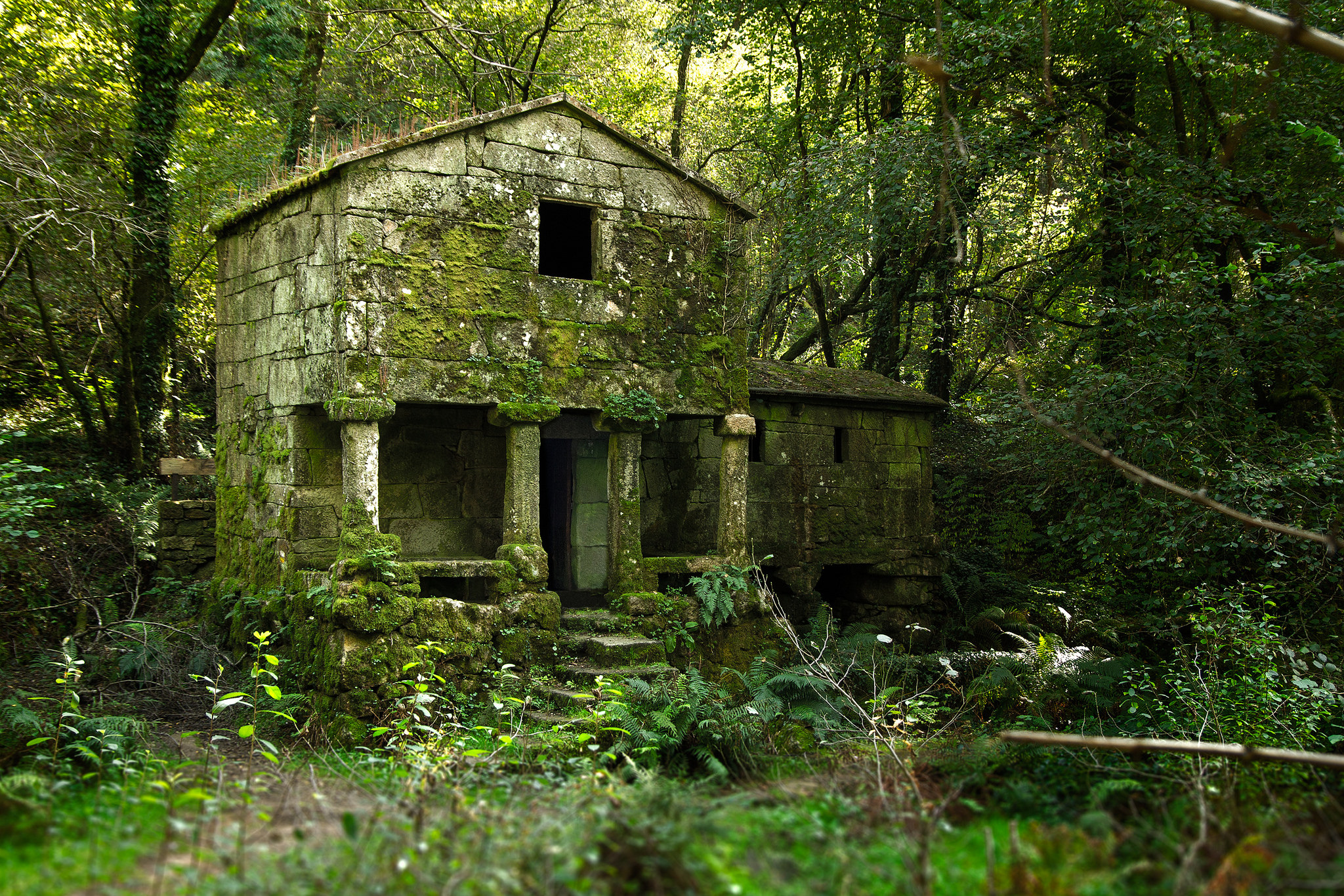 ¡Modernización o Emigración!: Desplazados Ambientales y Repoblación Forestal en Galicia desde 1950