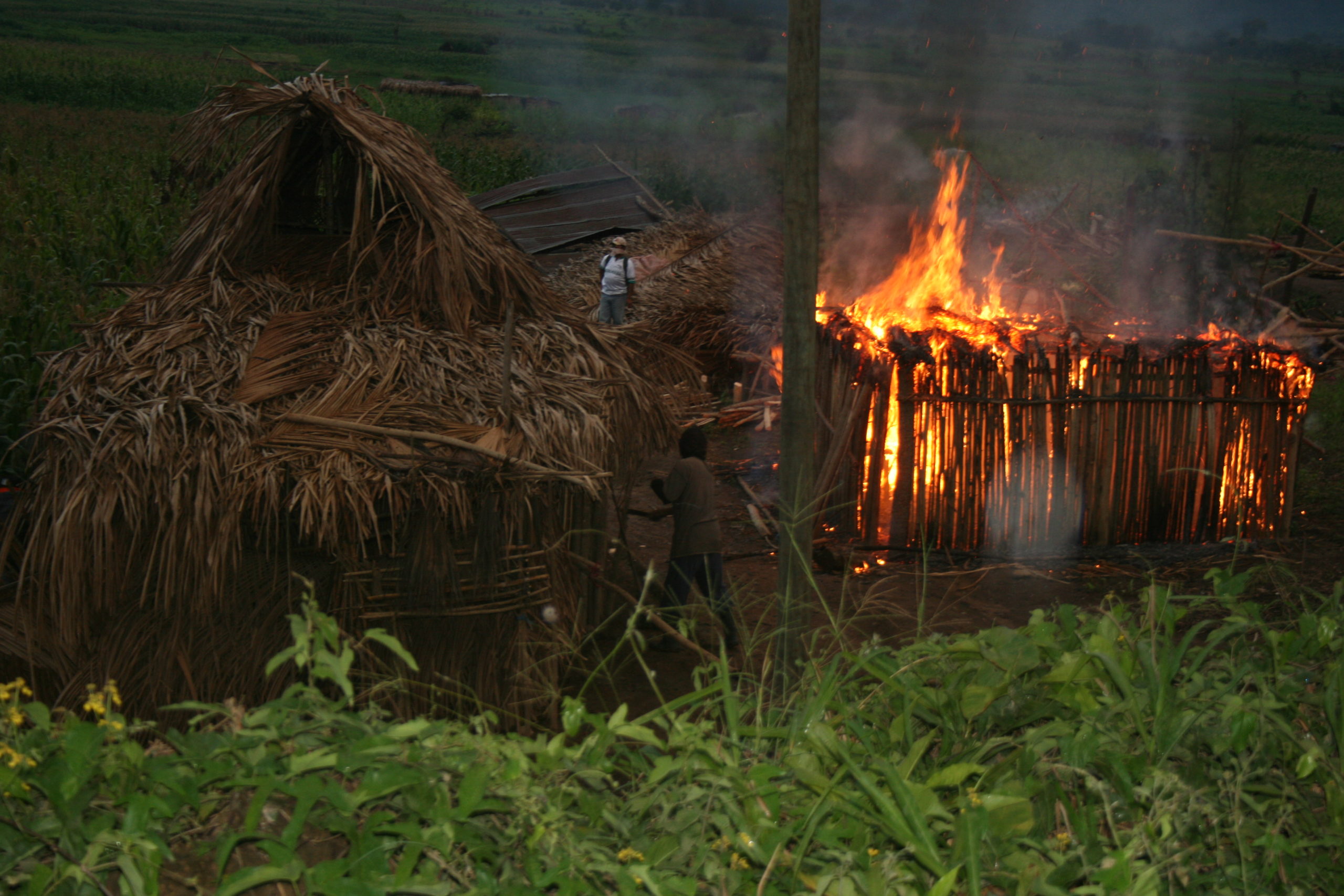 Violencia, silencio, miedo: El desvelo del conflicto de palma aceitera y caña de azúcar en el valle del Polochic, Guatemala