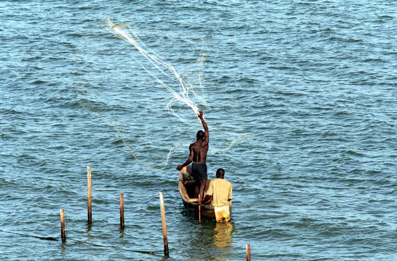 Efectos socioeconómicos y medioambientales de la introducción de la Perca del Nilo (Lates niloticus) en el Lago Victoria