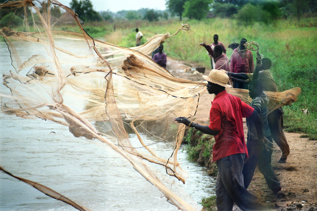 Pesca sustentable y soberanía alimentaria