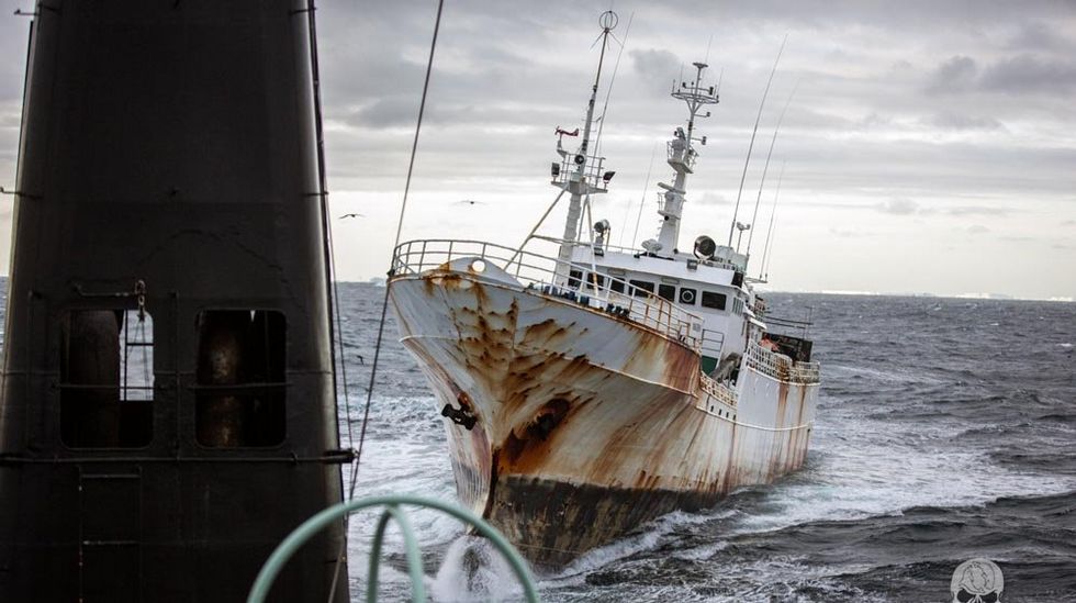 Pesca ilegal en aguas subantárticas: ¿Pirata español delatará a sus colegas?