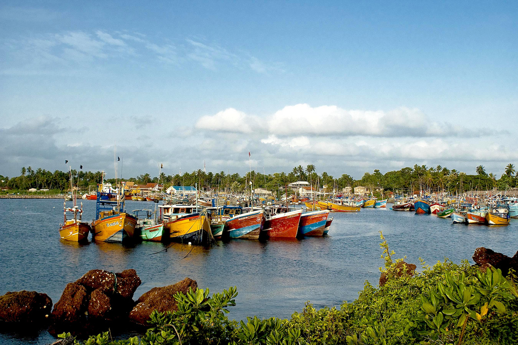 Lucro pesquero, desastre rural: El coste de la liberalización de la pesca en Asia