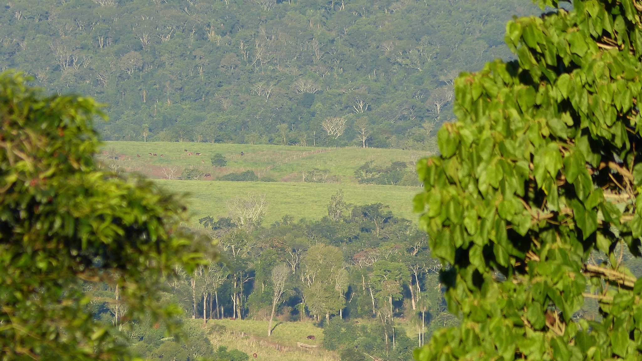 Foro de Resistencia a los Agronegocios