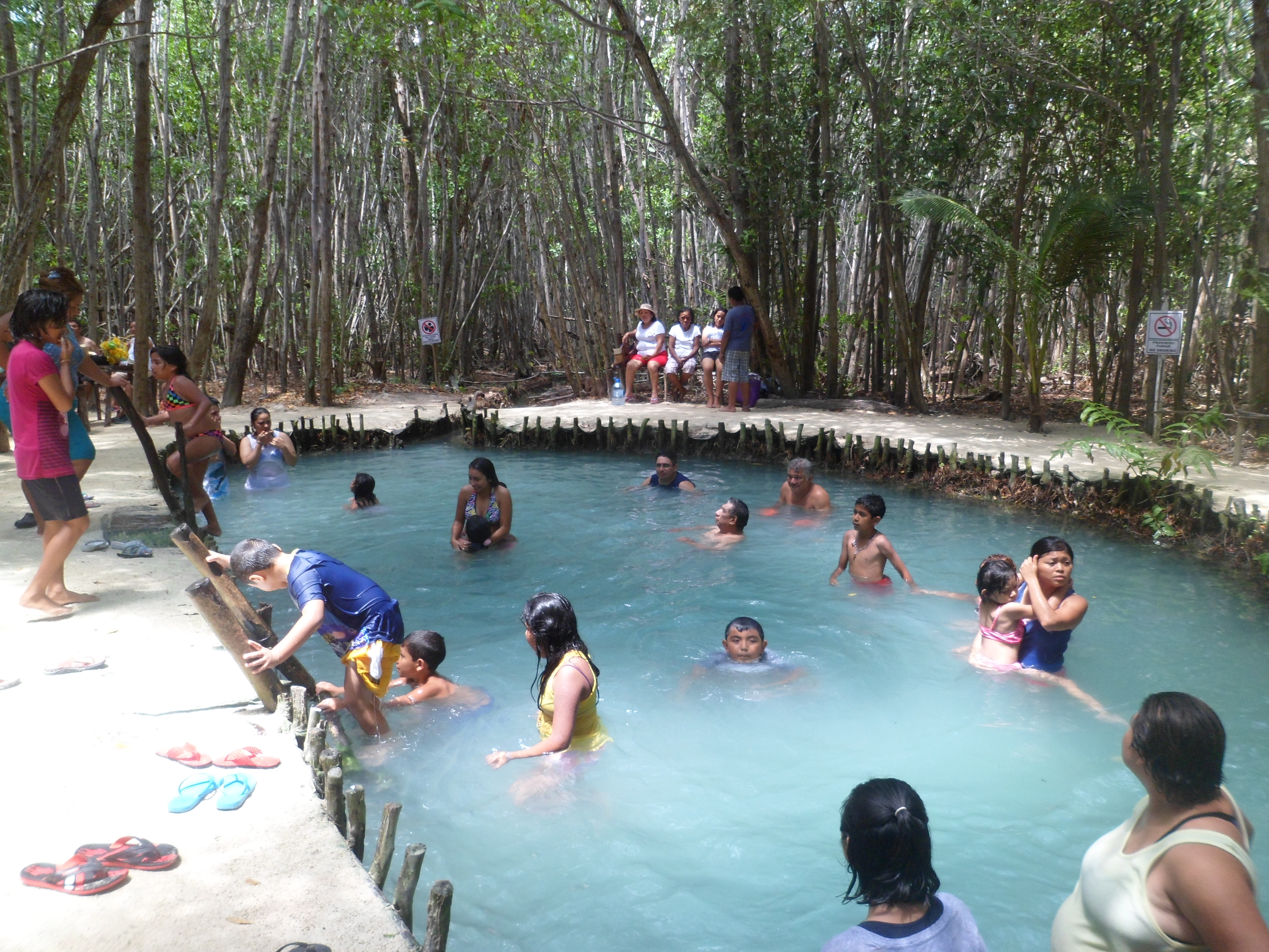 Un aspecto del uso turístico en el manglar. (Autora: Lirio Azahalia González Luna)