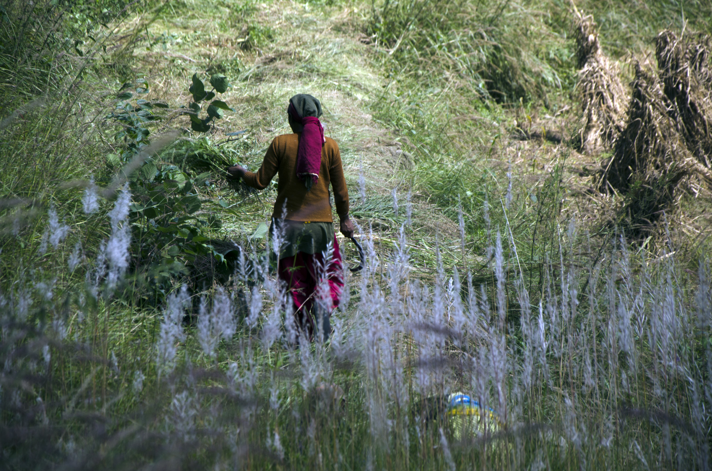 Perspectivas feministas para repensar la investigación en cambio climático y las políticas de adaptación