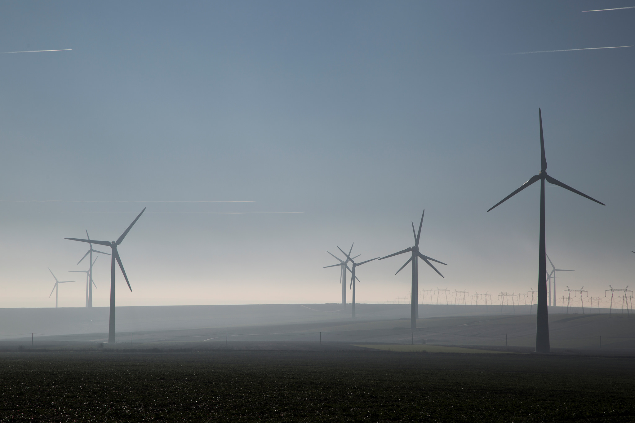 La nueva economía verde y la vieja mercantilización de la naturaleza