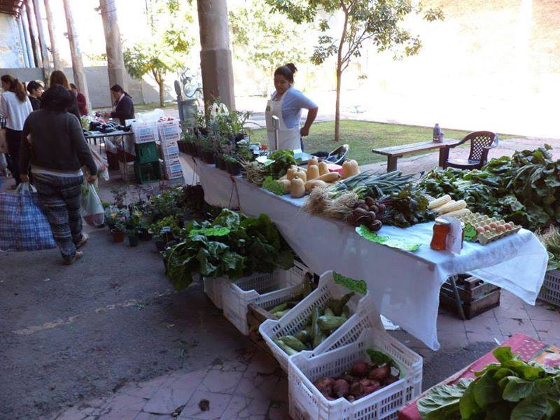 Mujeres hacia la soberanía alimentaria. La experiencia de la granja agroecológica La Verdecita