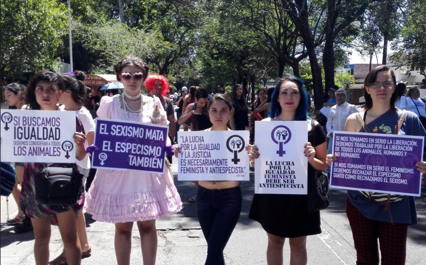 Ecofeminismos: apuntes sobre la dominación gemela de mujeres y naturaleza