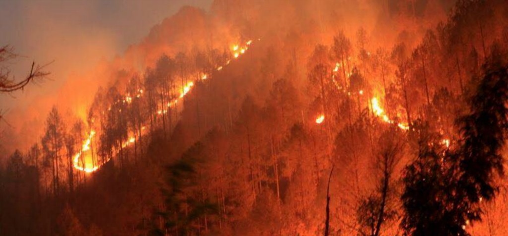 Bosques de fuego: narrativas conflictivas en torno a los incendios forestales de Uttarakhand