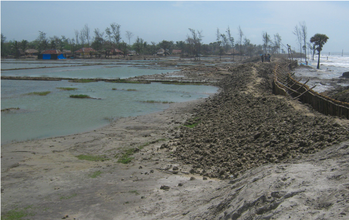 La ciudadanía corroída: desplazamiento ambiental y relaciones de Estado en Sundarbans, India
