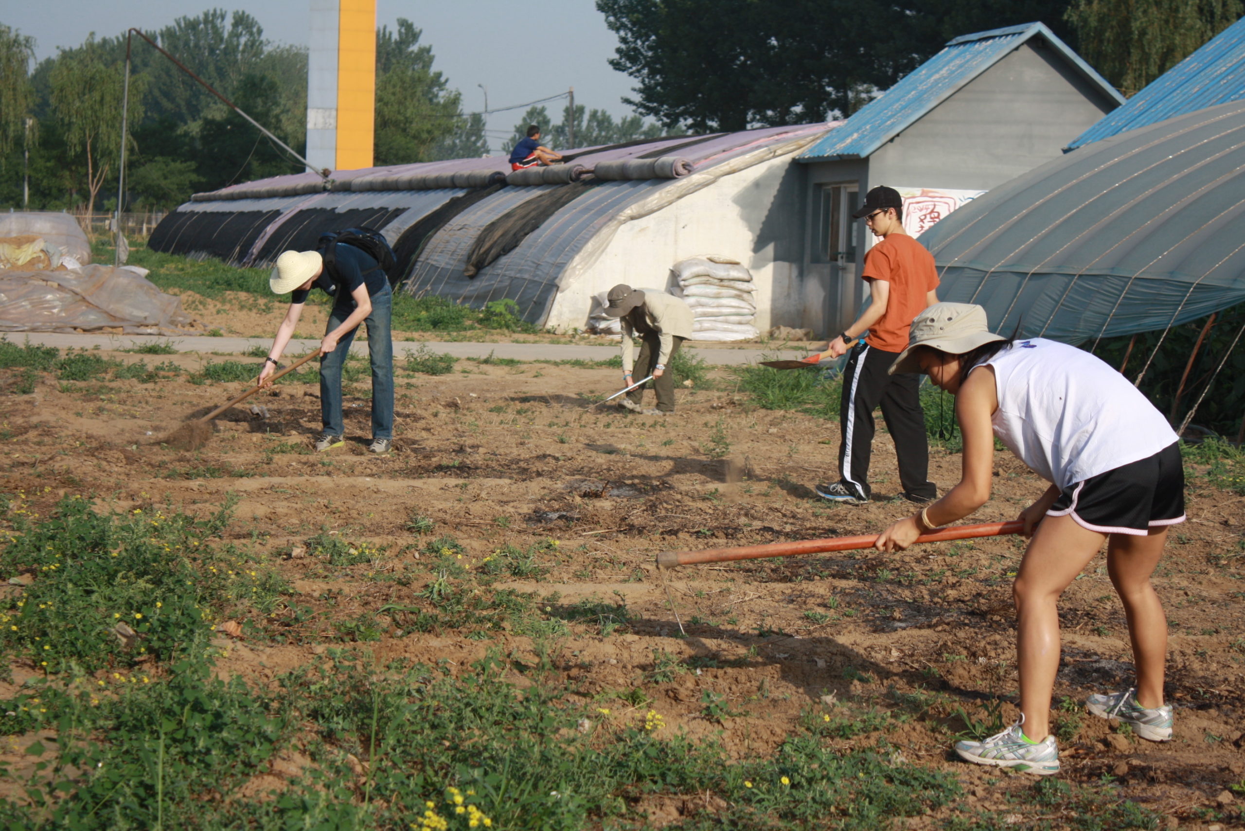 Nuevo Movimiento de Reconstrucción Rural: sostenibilidad ambiental y justicia social en China
