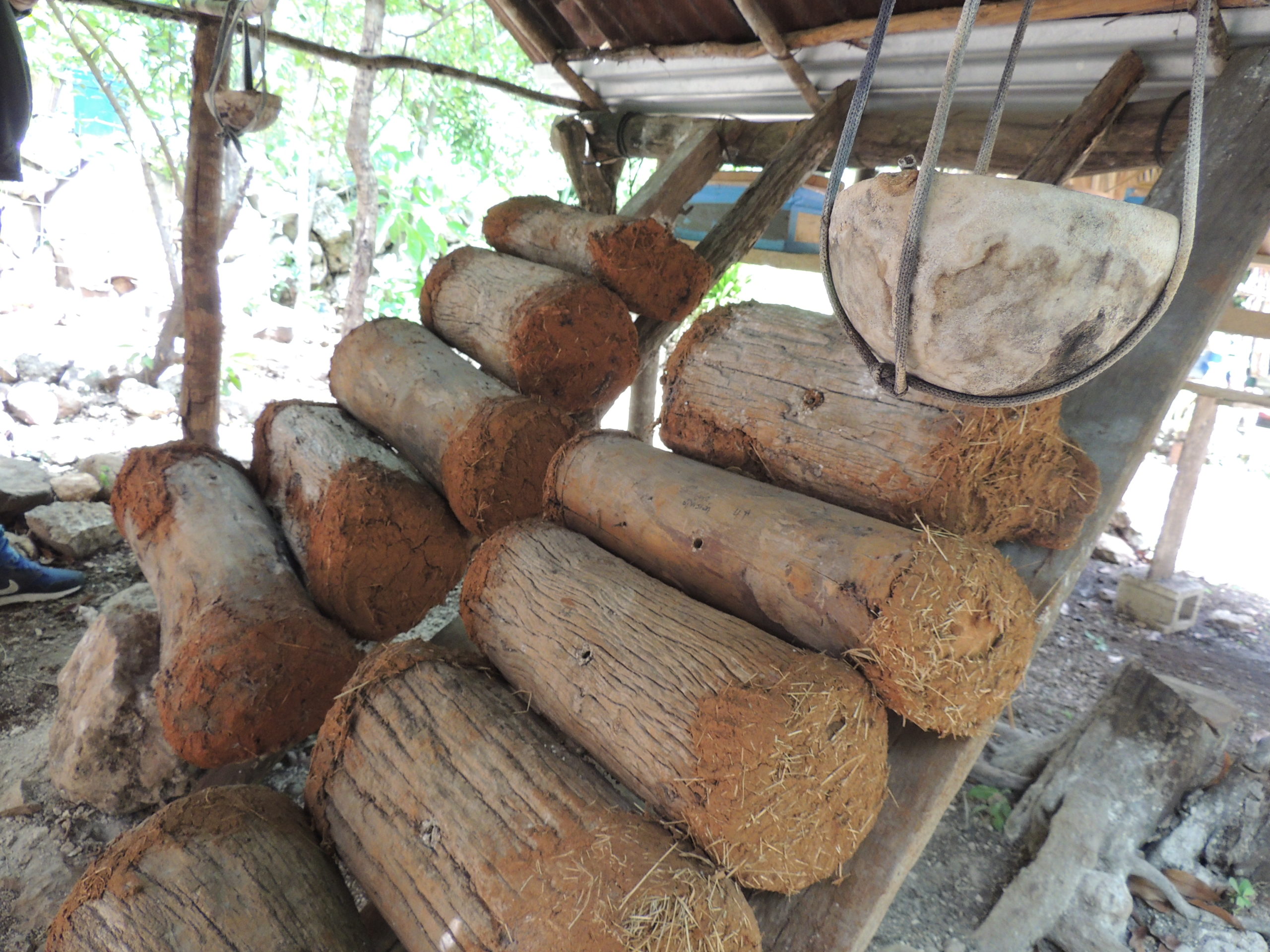 La meliponicultura en la Reserva de la Biósfera de Los Petenes en la península de Yucatán, México. Una iniciativa decolonial