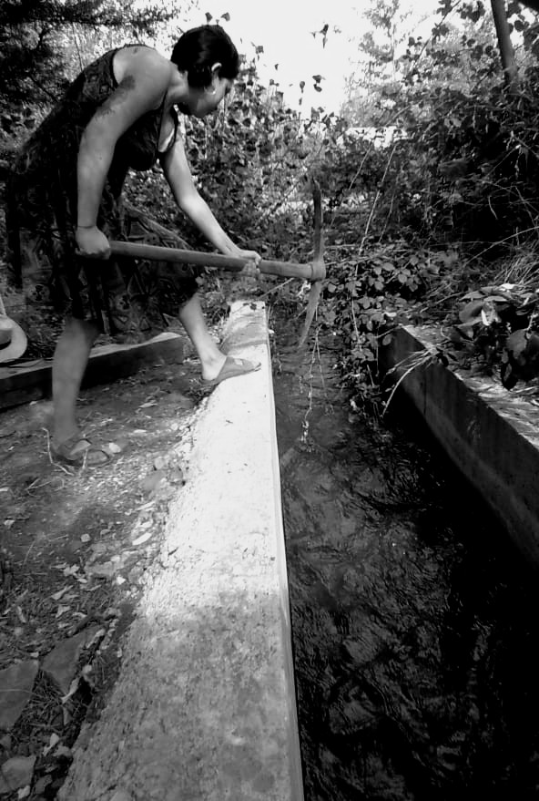 Agua-cuerpo-territorio. Las cicatrices y reexistencias de las mujeres rurales en el Maule Sur precordillerano de Chile