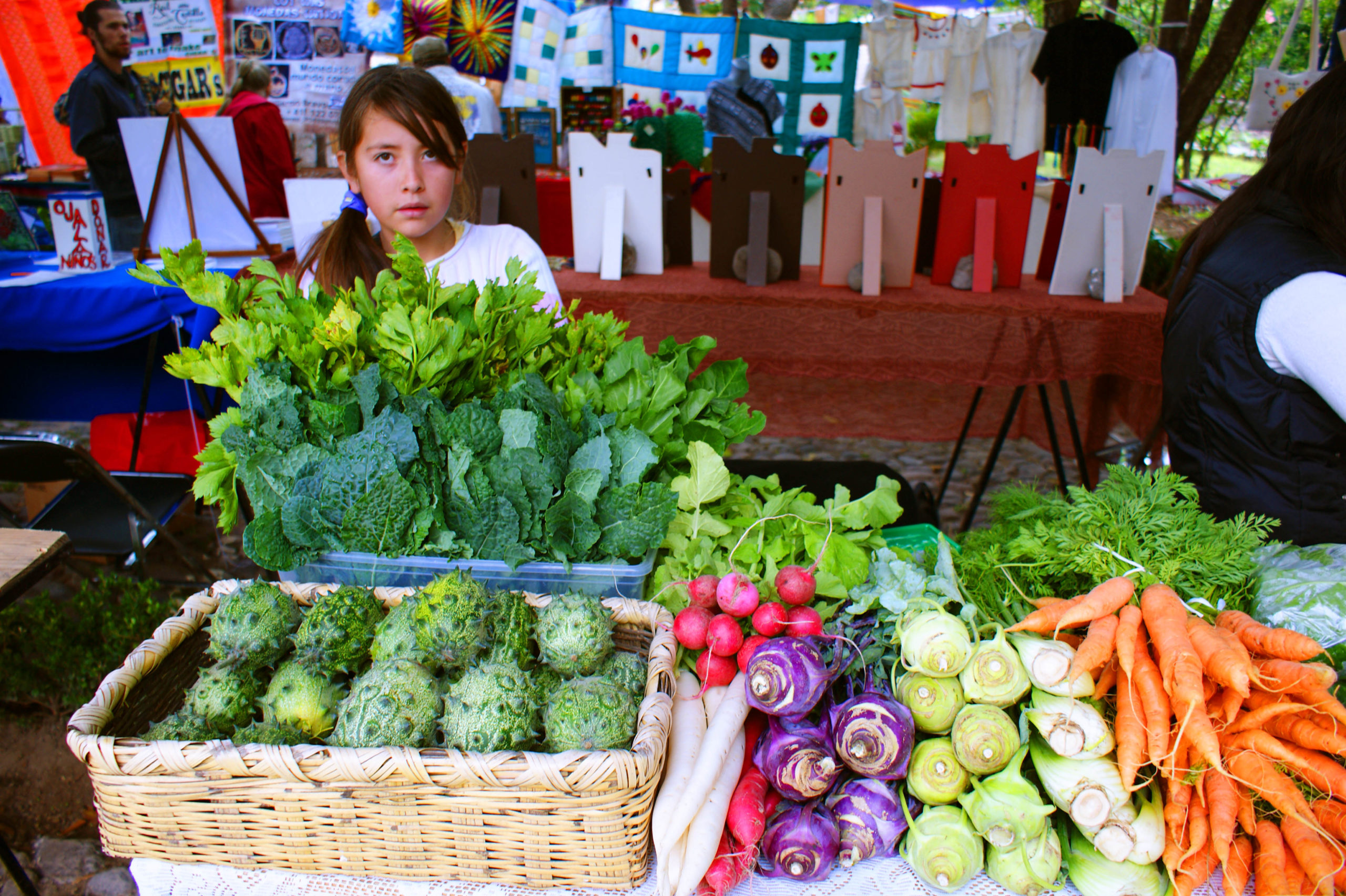 Construcción de territorios alimentarios. Una experiencia de las mujeres en San Miguel Allende