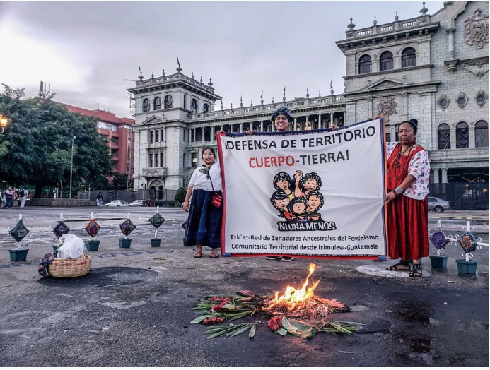 Emergencias ecofeministas en las praxis latinoamericanas