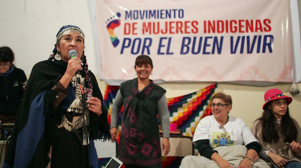 La cordillera de los Andes no es frontera. Cuerpos-territorios y medicina ancestral mapuche en contexto de pandemia