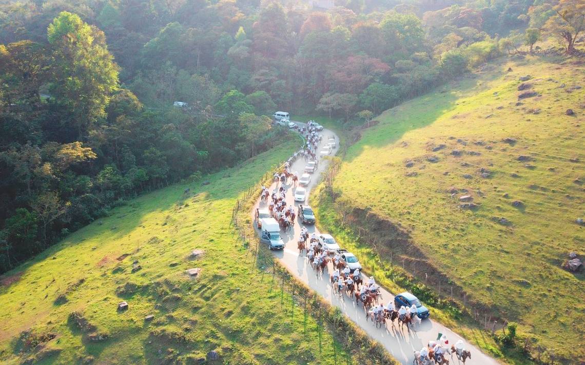 Ecología política de la pandemia: Sufrimiento y acción política de los pueblos indígenas ante el COVID-19 en la región Otomí-Tepehua, México