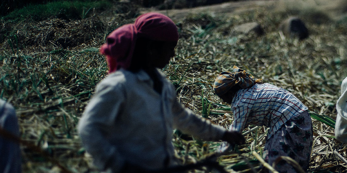 Comunalizar la trama agroalimentaria, una política de la esperanza