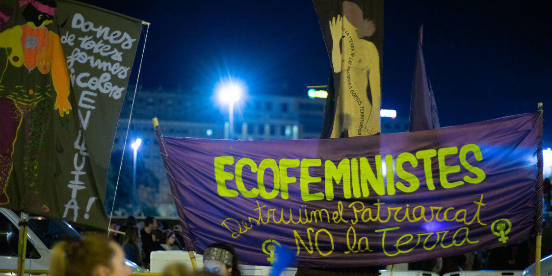 Las imaginaciones socioecológicas de los ecofeminismos centrales y periféricos: incomodidades y encuentros en la producción de lo común