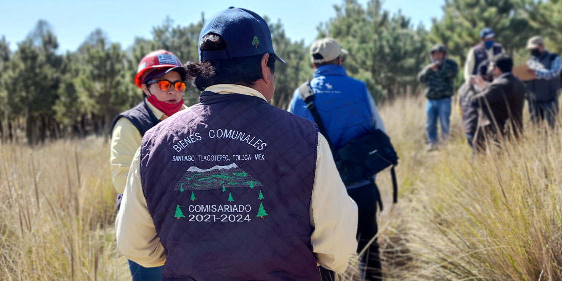 Regenerar territorios, reapropiar alimentos, reconstruir comunidad. La experiencia en Santiago Tlacotepec, estado de México