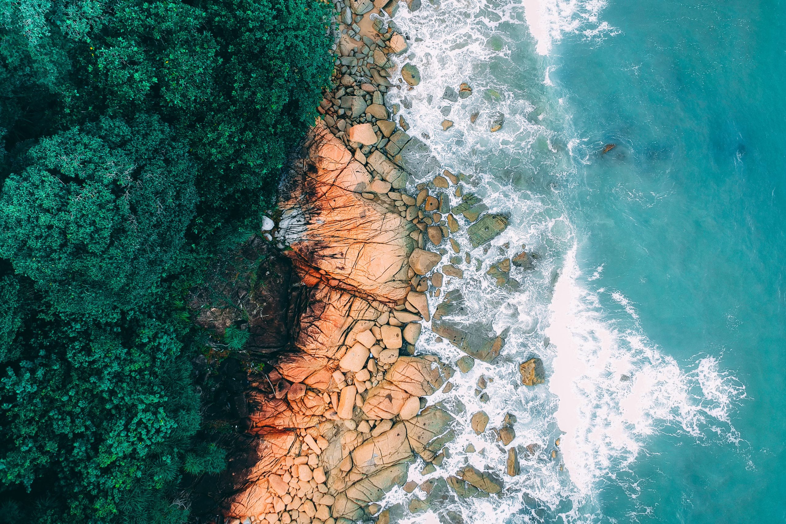 Mojarse para combatir la pérdida de biodiversidad marina