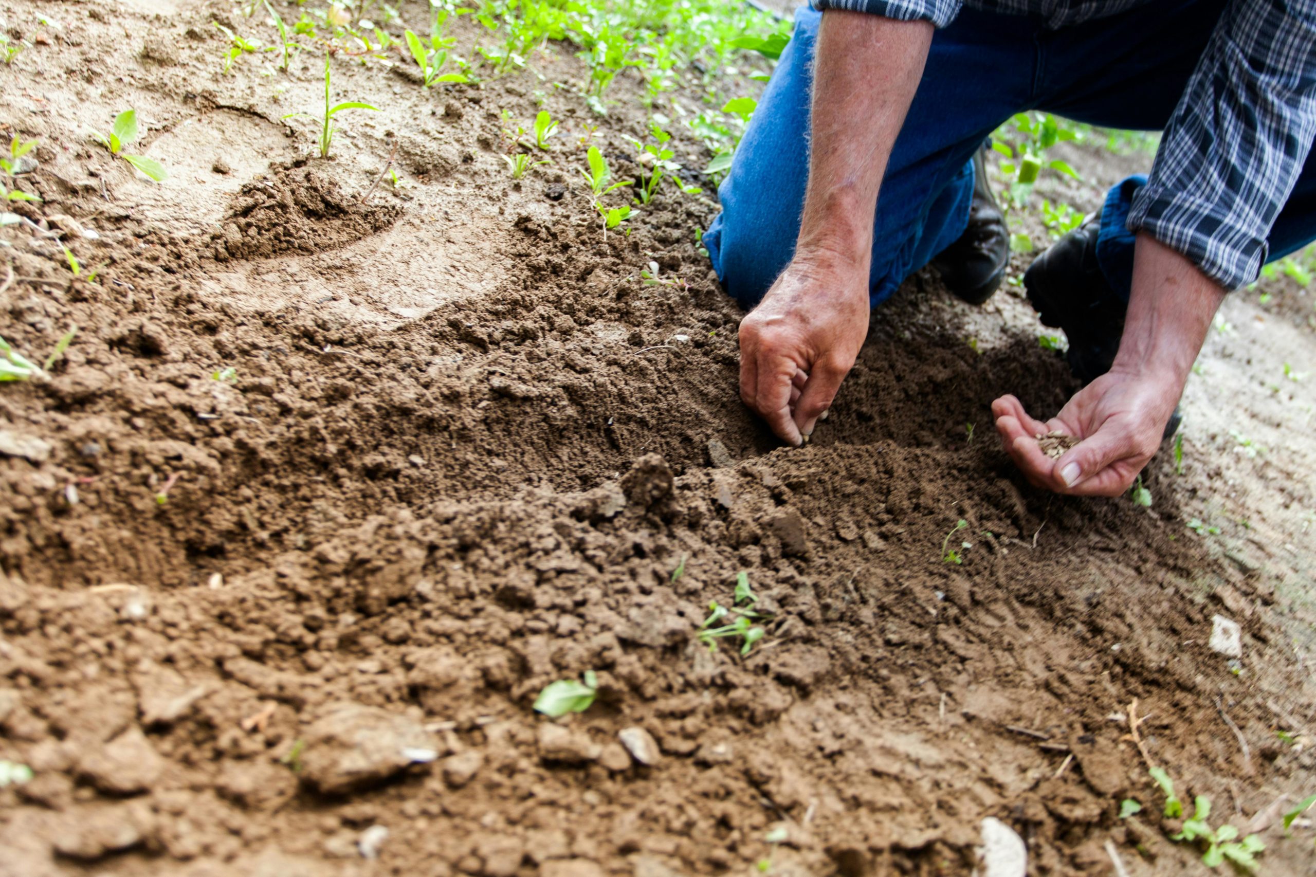 Pensamiento campesino y diálogo de saberes. Aportaciones descoloniales del Sur Global