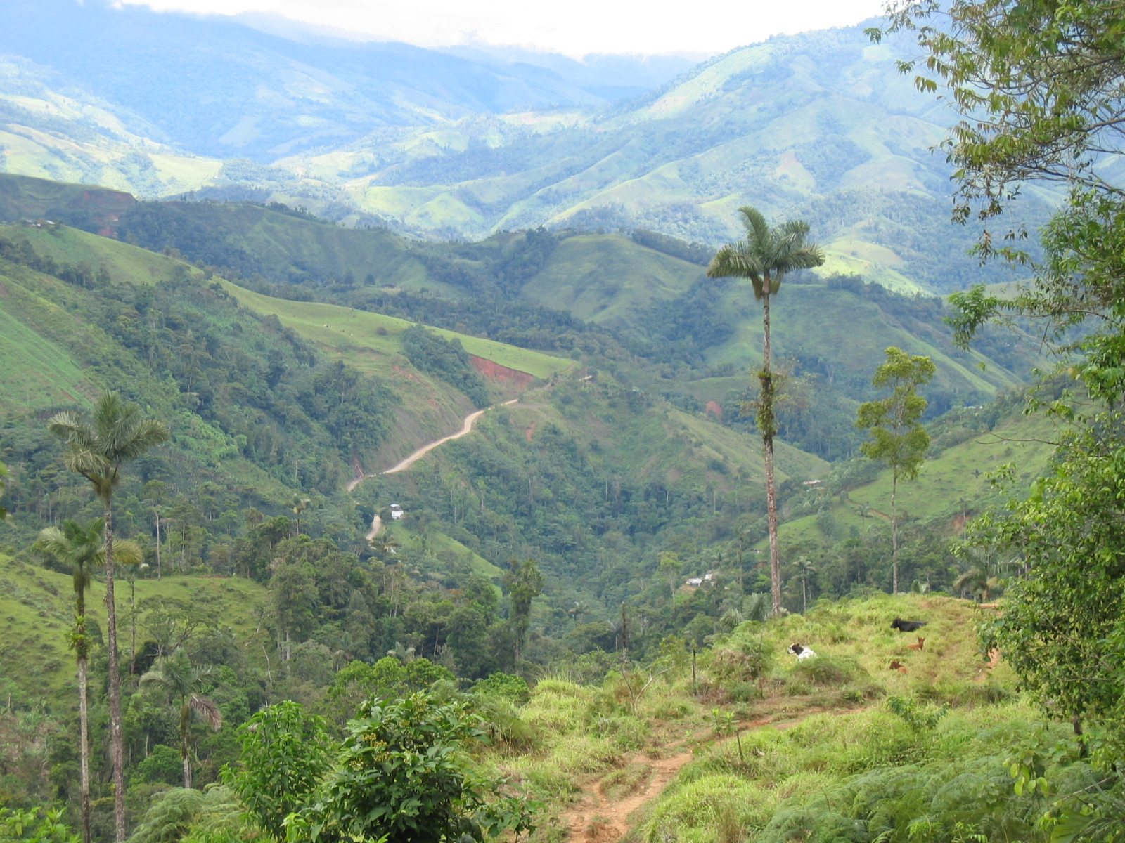El campesinado como agente de cambio para la paz en la naturaleza. Una propuesta de educación popular desde la ZRC-Pato Balsillas, Caquetá