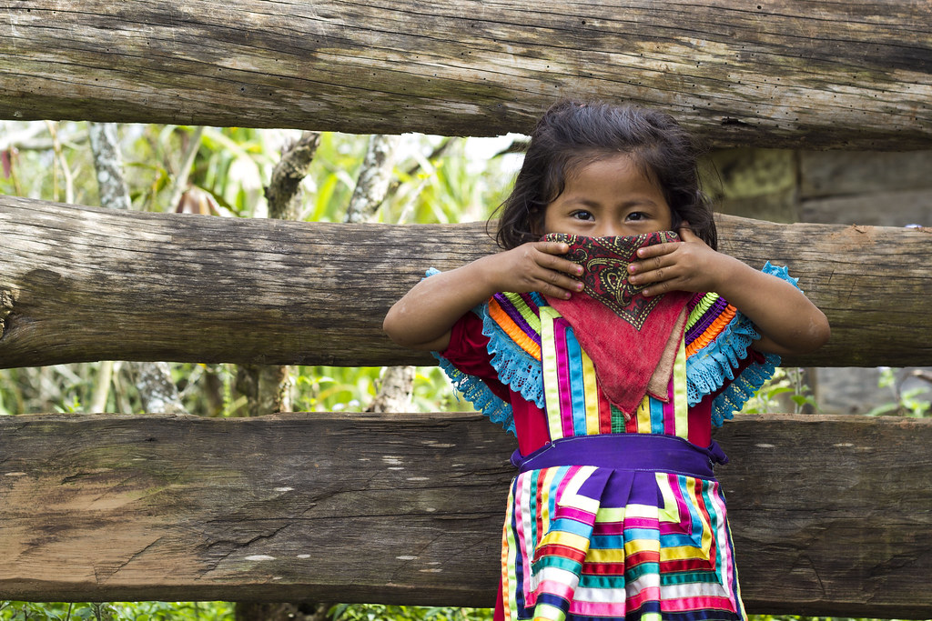 La fuerza creativa y transformadora de la ecología política latinoamericana