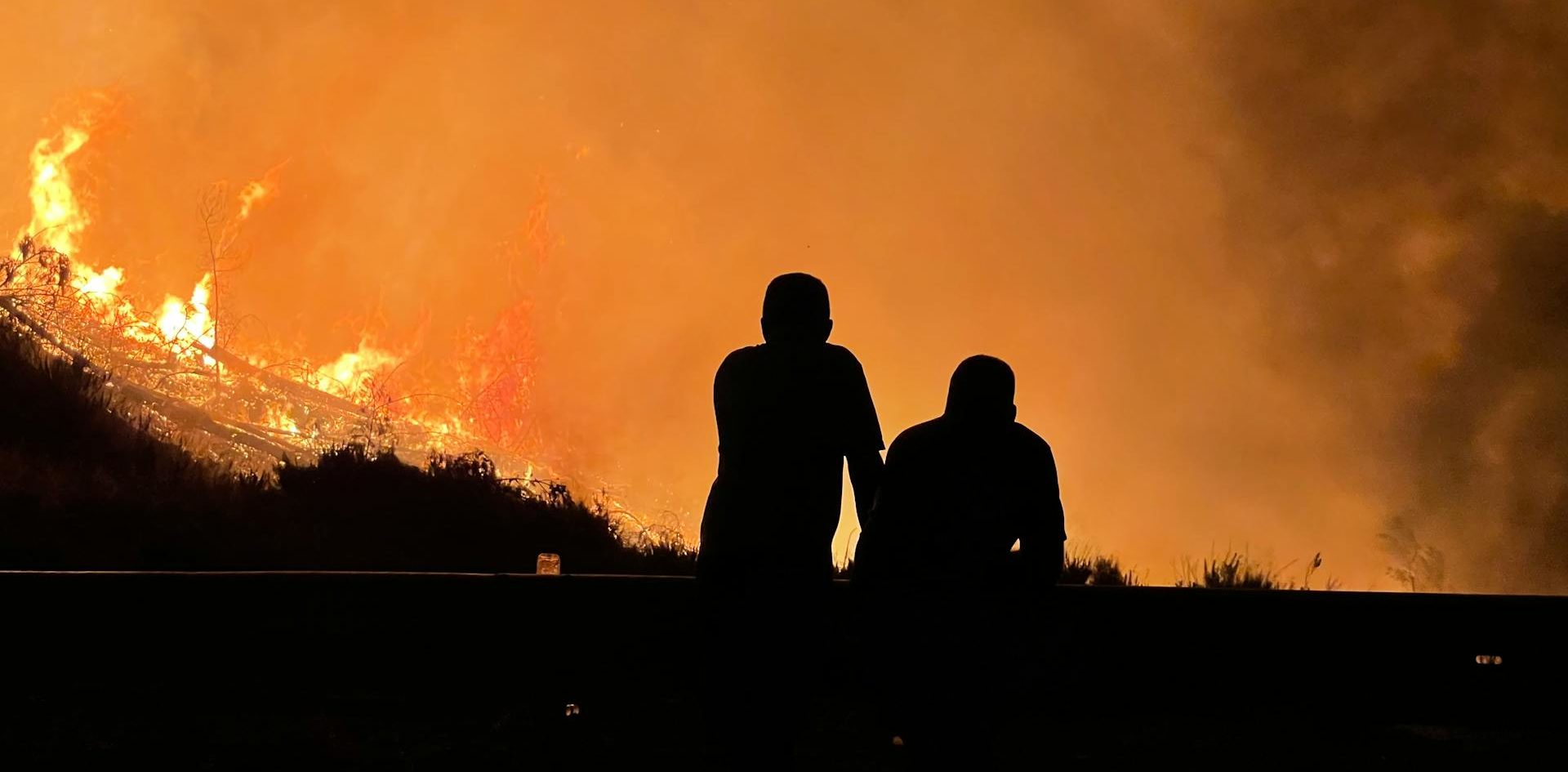 El crimen de ecocidio en tiempos de guerra y de paz. De Arthur W. Galston (1920-2008) a Polly Higgins (1968-2019)